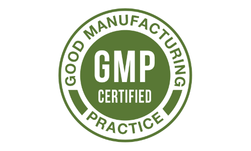 GMP guidelines icon